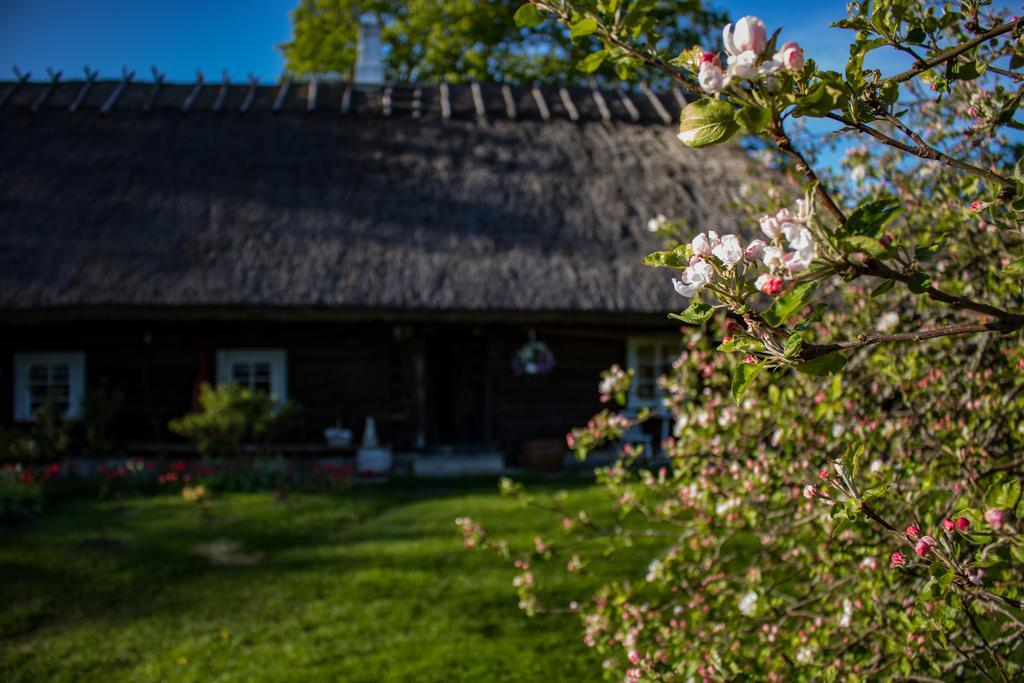 Kuusetuka Tourism Farm Villa Pahkla Ngoại thất bức ảnh